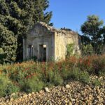 Restauration d'une borie à Chateauneuf-du-Pape Renovell Création 1